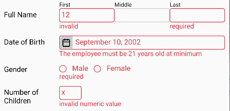validation for different types of inputs